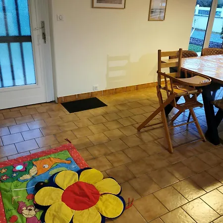 Calme Entre Pins Et Ocean *